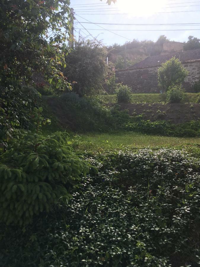 Bogoly Apartman Tokaj Exterior foto
